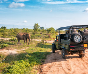 Voyages en Afrique