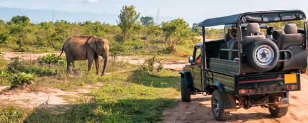 safari en Tanzanie