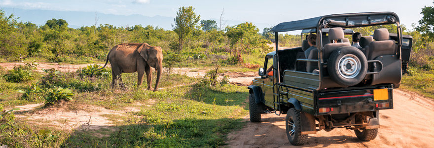 safari en Tanzanie